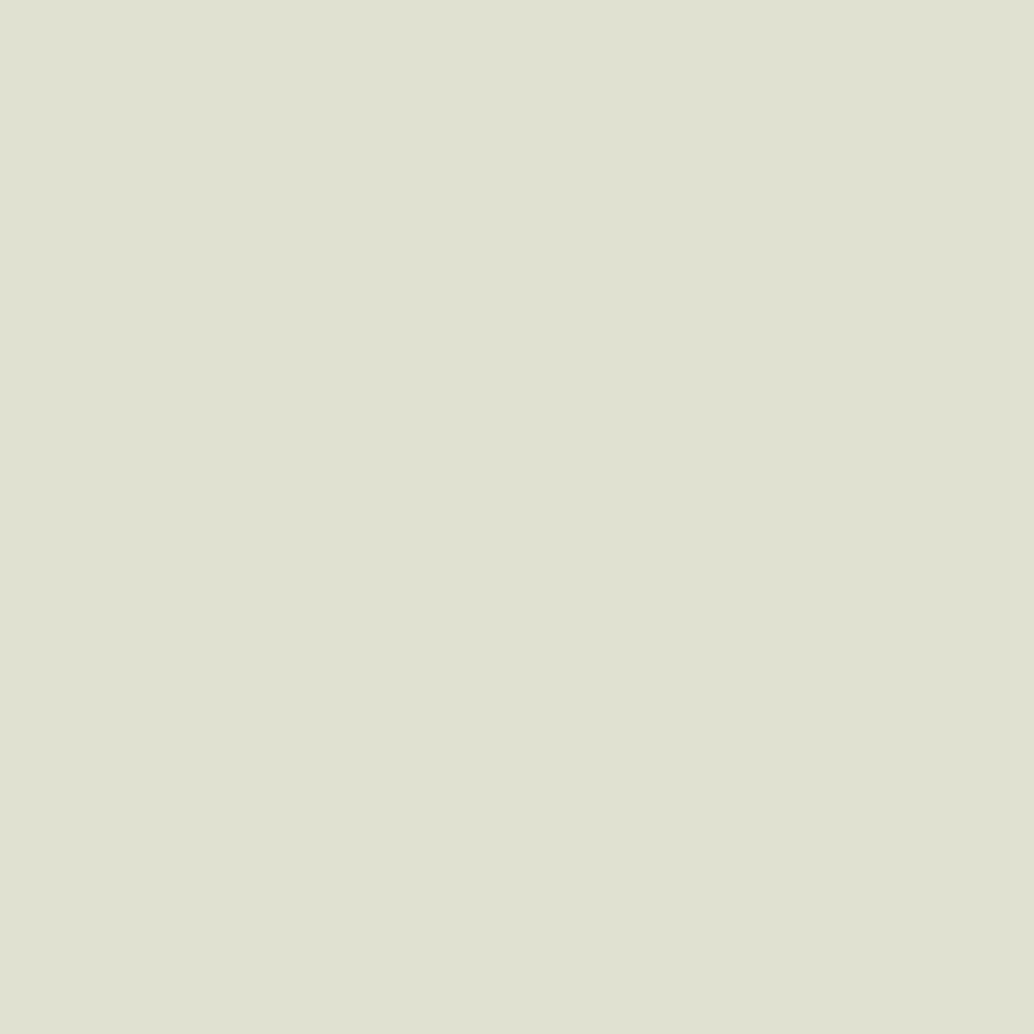 Kackhocker student pale celadon